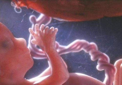 小宝宝|孕妈熬夜的时候,胎儿在腹中忙着“排毒”,看完答案后还敢熬吗?