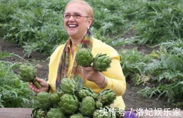 排毒养颜|朝鲜蓟排毒养颜、清热去毒，掌握四点，收获优质的朝鲜蓟！