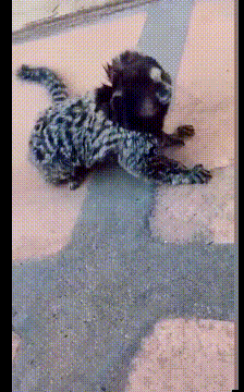 |搞笑GIF:嫂子你听我解释 事情不是你想象的那样