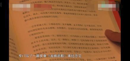 唐僧!86版《西游记》白龙马惨死马棚,尸骨无存,揭开人性的恶