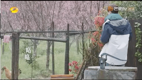 张艺兴是去建设社会主义新农村的吗?