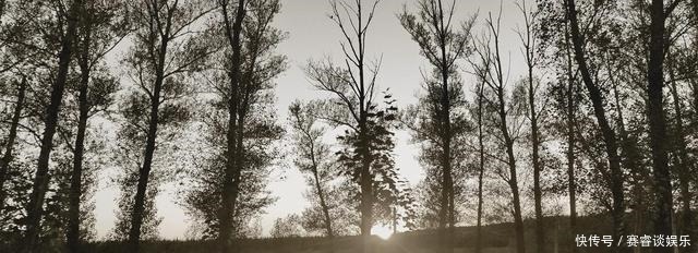 至今|朱雀桥,从刘禹锡的诗《乌衣巷》中走来,至今“残基犹说晋咸康”