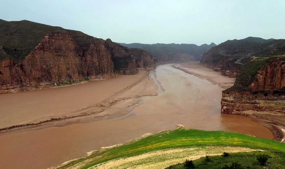 黄河鱼的秘密:跃龙门的不是鲤鱼,是谁?谁当了数百年的宫廷鱼?