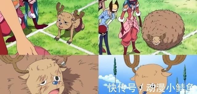 帽子|海贼王中的6位帽子星人,赤犬是平头,乔巴戴帽子的方式公开!