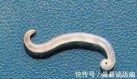 免疫细胞|你知道年度最佳冷知识有哪些吗?一个都不可以错过