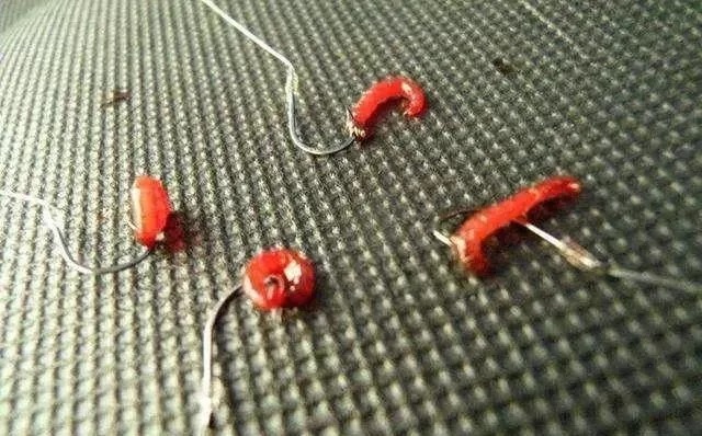 冬季天冷鲫鱼不好钓?只需牢记这三点关键,大鲫鱼钓到停不下来