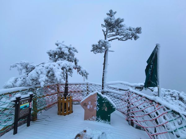 老界岭|南阳老界岭迎来连续降雪 厚度达25厘米