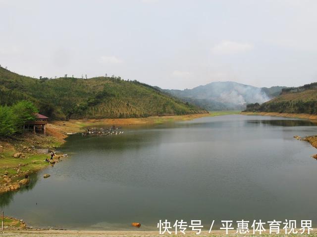 大坝|弄清水底地形，鱼道其实并不难找，找对爆护也真的不难