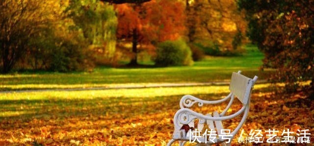 才女!林徽因水平很高的一首诗,短短几句隽永灵动,被称才女是有道理的