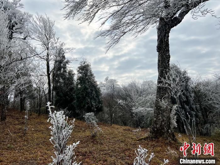 雪原|广西北部深山出现一片彩色雪原