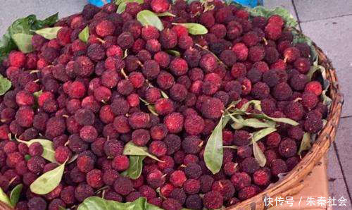 一“奇特”水果,果肉肥厚却没有皮,最高180元一斤,如今10元3斤