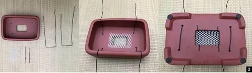 双干式盆景不一定要连体，两株对节白蜡即能成双杆，要不试试？