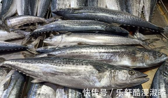 开海后，优先选择这四种海鱼，肉多刺少营养高，很适合老人和孩子