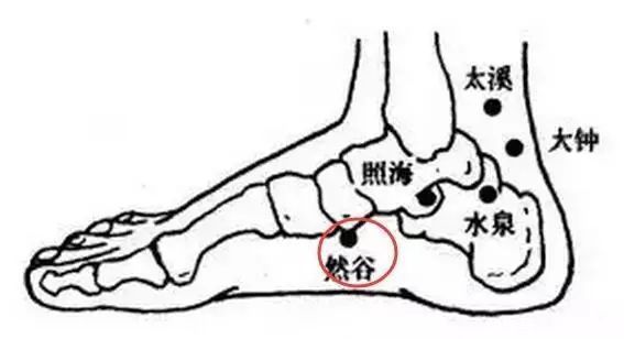 三阴交|各种病都能找到对应的穴位，1穴搞定1病症快快分享给朋友
