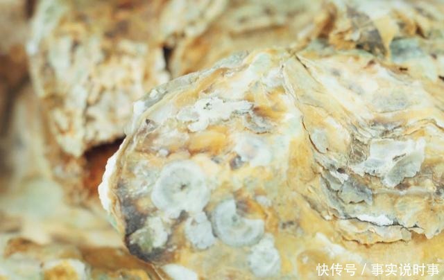 生蚝这样做还是第一次见,鲜嫩爽口,香辣味美,比烤生蚝还好吃