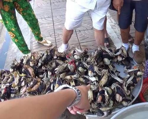  这个小摊子旁停满了车，我好奇走近看看，忍不住买了10斤！