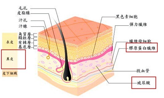春夏季常见的护肤行为