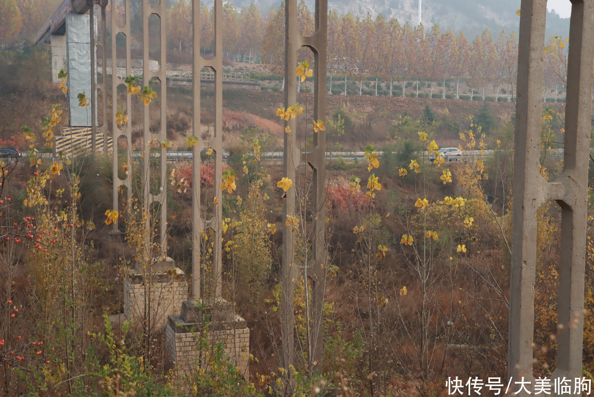 村庄叫花园|临朐有个八岐山