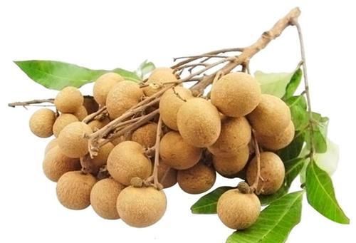 不想身体衰老，多吃几种食物，养血安神，健脑益智，补养心脾