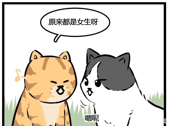 圆滚滚|搞笑漫画：圆滚滚出门去艳遇，想找到称心如意的小哥哥不容易啊！