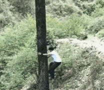 |搞笑GIF:新娘,赶快跑,我感觉你今晚上会出事,你信不信