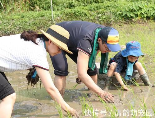 独立性|若孩子从小有这四种表现,说明父母把他养很好,将来更容易成才!