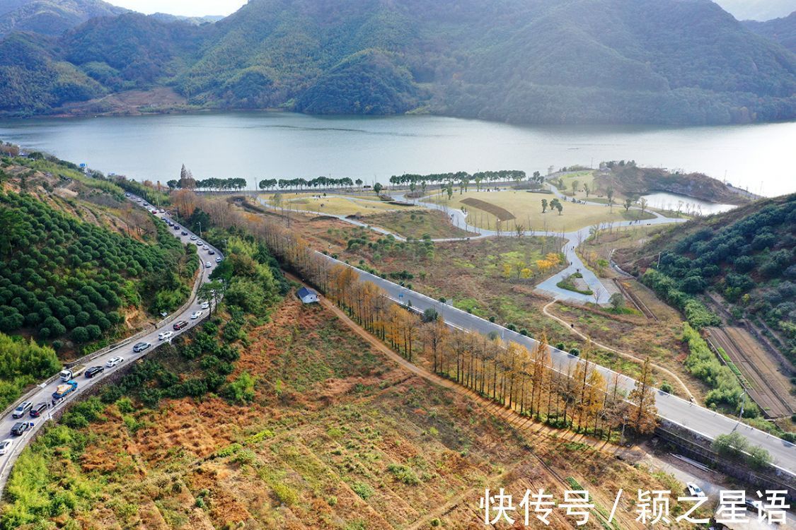 花海|黄金路，花海，红杉林，环游东吴风景线