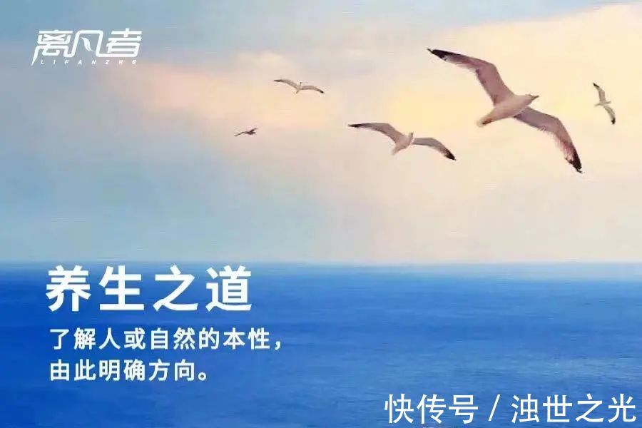 中国居民膳食指南|中国有几千万人每天假装会养生,其实都是闹笑话!