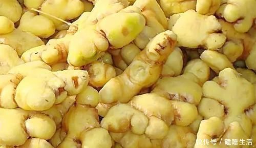 养生|常吃生姜“养生长寿”,5大好处不请自来,一起看看有哪些吧!