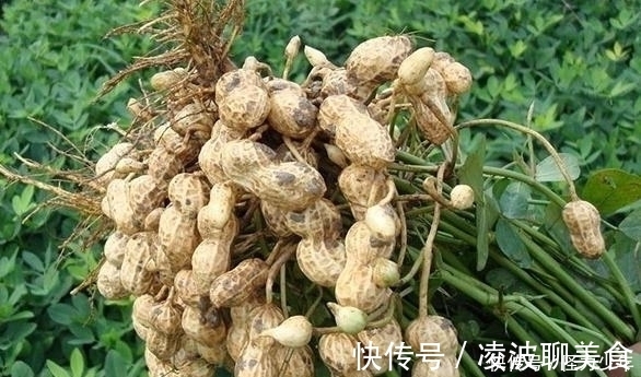 血管|花生与它是绝配，连吃7天，清血管，降血压，记忆力强，身体棒！