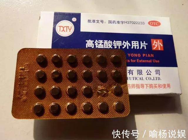 扦插加个小药片,成活率翻番,新手也能做得好!