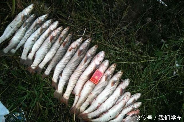 水深|钓浮不会调漂没关系，这两种方法，会操作、懂思路就能上鱼