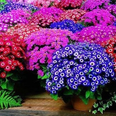 ''不能见妻子受委屈''的3种生肖男,活得很明白,婚姻生活很幸福