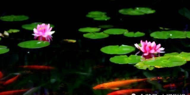 格局&为人处世,悟透王阳明的这一天规,格局会越来越大,人生越来越顺