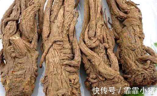 酸梅|子宫肌瘤的“死对头”，女人常吃，有助活血化瘀，子宫温暖健康