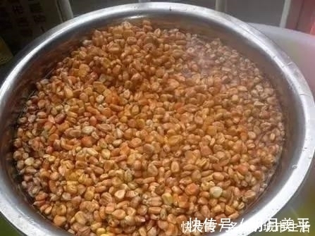 打窝器|都用玉米做钓,别人百斤爆护自己却颗粒无收,这几个原因参考一下