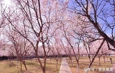 十二首描写愁怨的古诗词,剪不断的愁绪,道不尽的相思