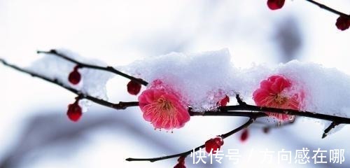 朝云@苏轼不仅为妻子写《江城子》,更为侍妾写过,可见才子多情!