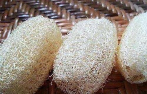 黄叶|蟹爪兰盆里加点这个好东西,不烂根、不黄叶,花朵开满盆!