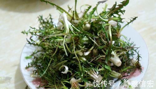 尿床草|农村风吹满天飞的野草，人称“尿床草”，是中药材的八大金刚之一