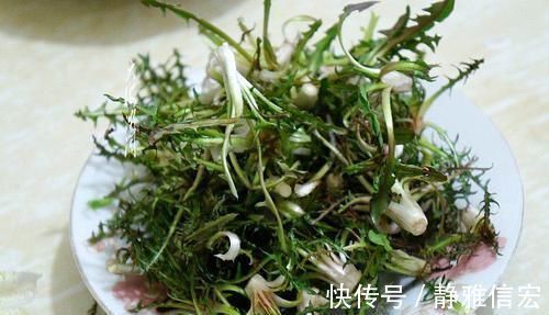 尿床草|农村风吹满天飞的野草,人称“尿床草”,是中药材的八大金刚之一