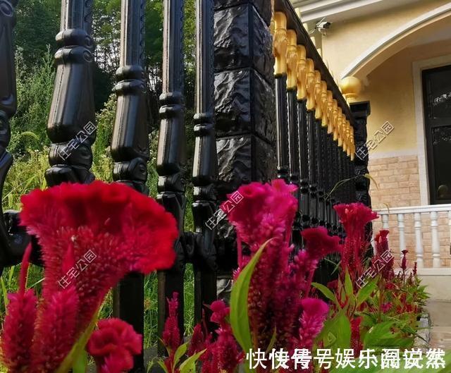 别墅|别拿一层不当别墅!5个真实案例,告诉你在农村建一层别墅有多爽