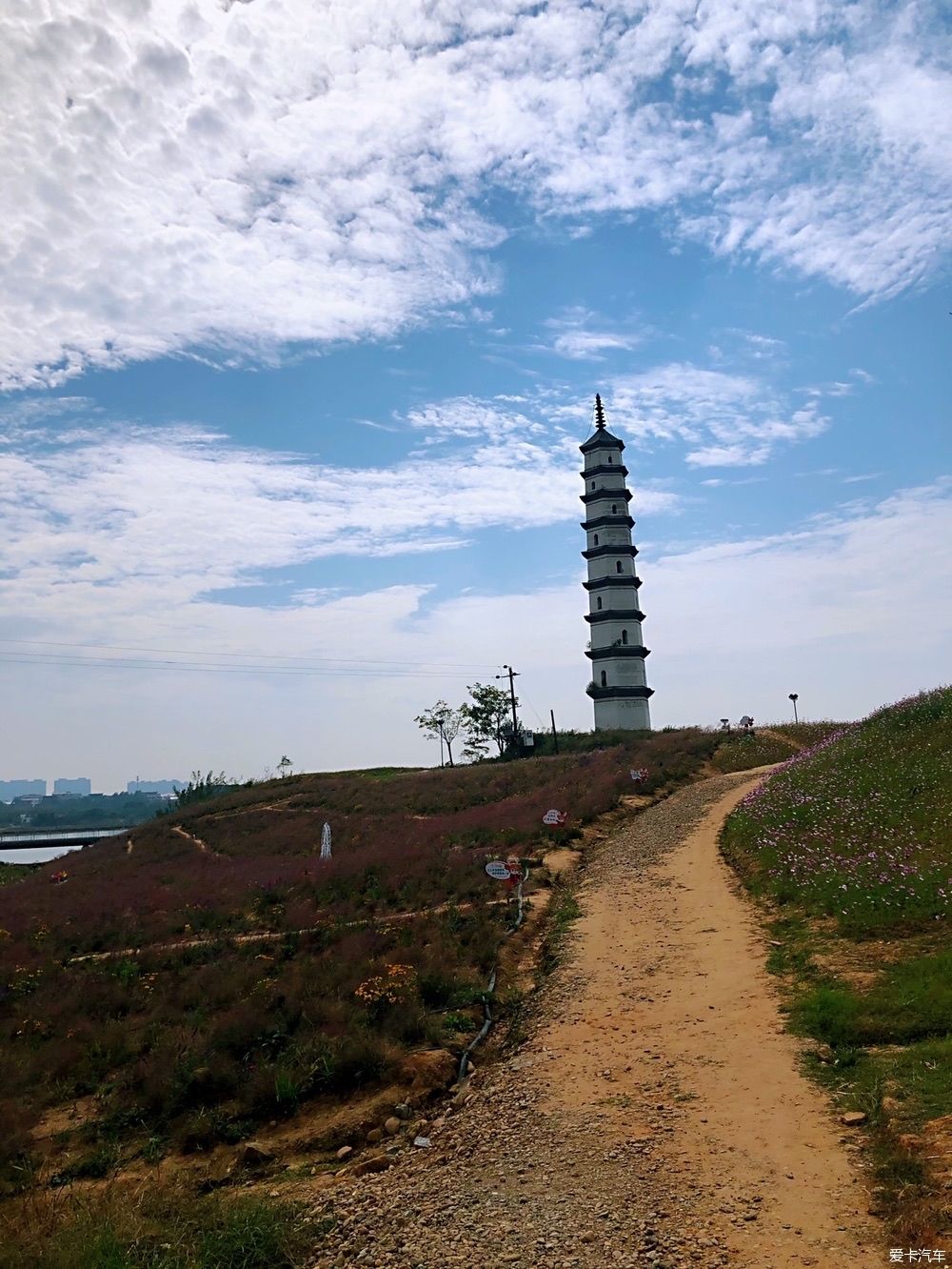 灿烂|晴空万里，鲜花灿烂