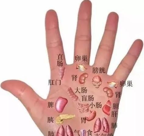 收藏|流傳幾百年的手診歌訣，面診歌訣，一看就會，果斷收藏！