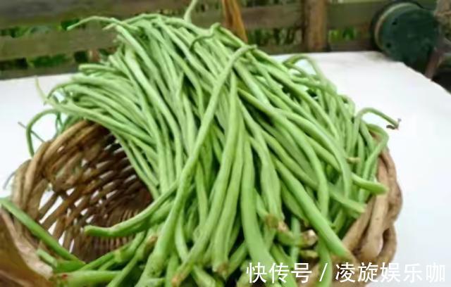 晾晒|晒干豆角,牢记别直接晒,80岁老奶奶教您一招,放一年也不坏