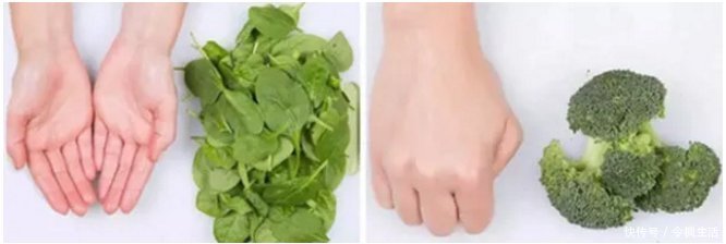 糖尿病人必看每天吃多少一只手就能掌握,简单好用,血糖不升