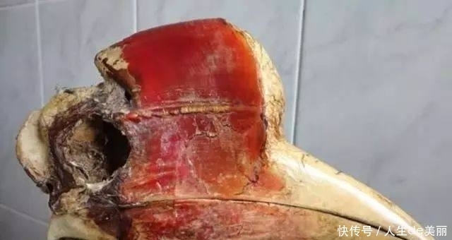 文玩文玩,这些劝你不要玩!