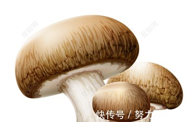 含有|痛风的人越来越多,可能与这五种食物有关!