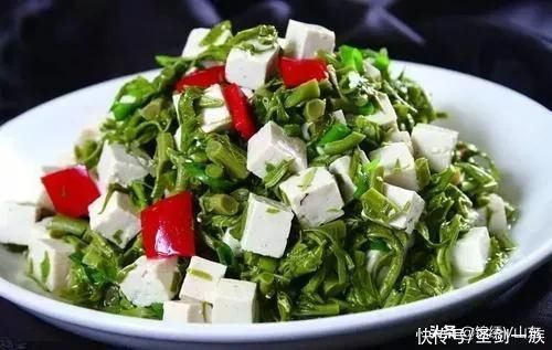 杏鲍菇|未伏天做饭不用愁, 分享12道家常下饭菜, 适合未伏天吃, 不愁没好菜
