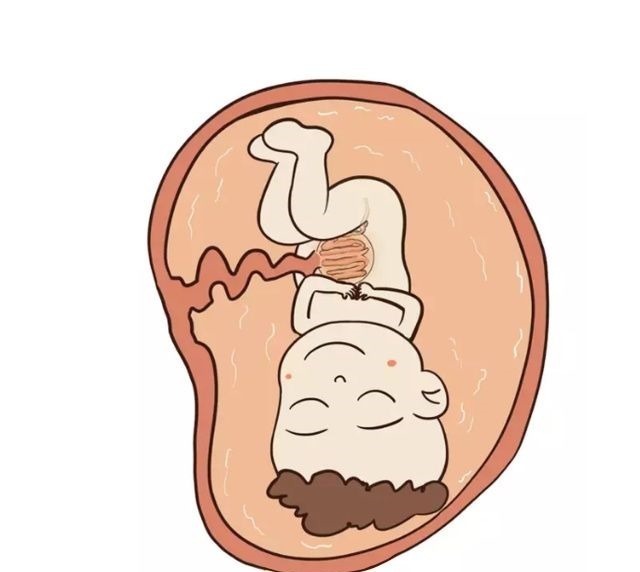 食物|准妈妈吃了口泡面,肚中胎儿会有什么感受?有点萌啊